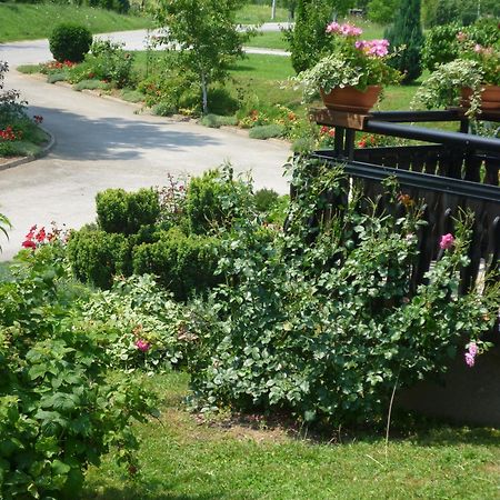 Apartments Tratincica Селиште-Дрежничко Экстерьер фото