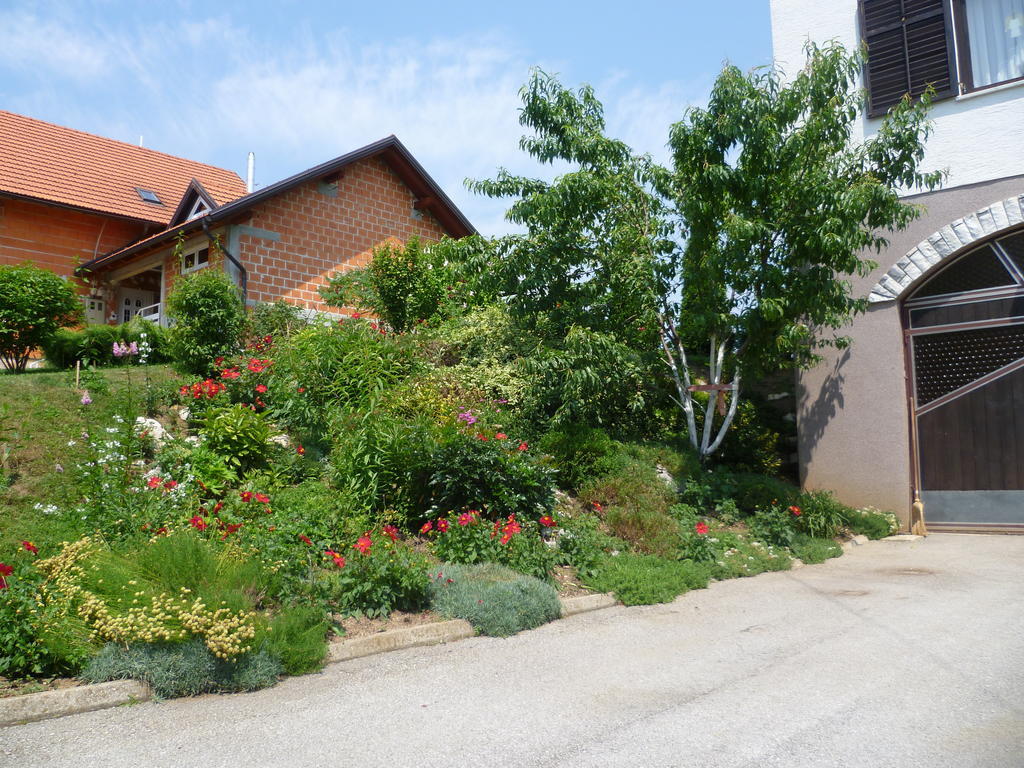 Apartments Tratincica Селиште-Дрежничко Экстерьер фото
