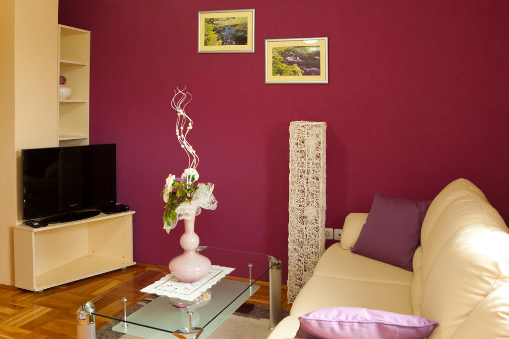 Apartments Tratincica Селиште-Дрежничко Номер фото