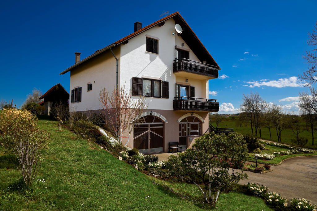 Apartments Tratincica Селиште-Дрежничко Экстерьер фото