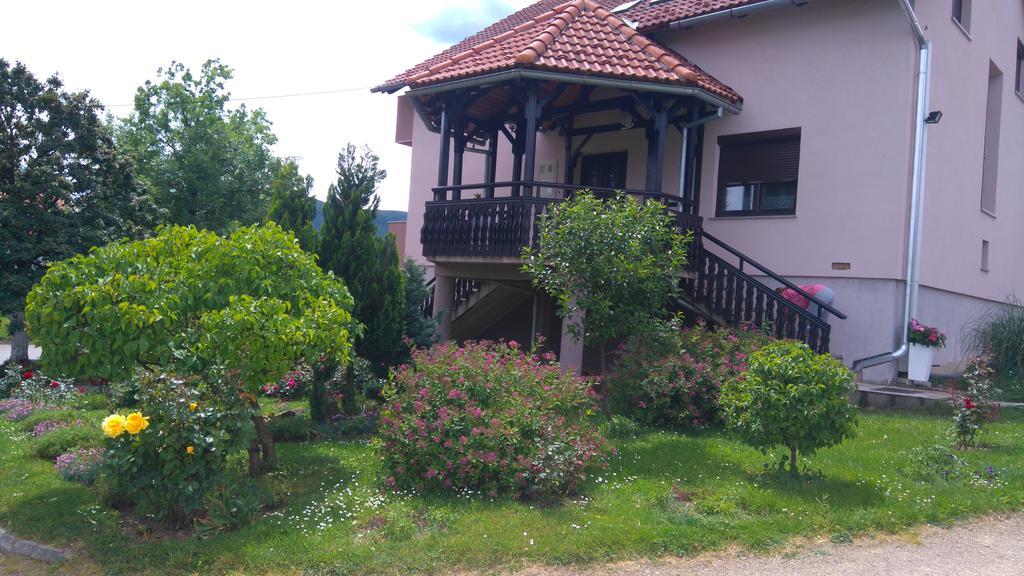 Apartments Tratincica Селиште-Дрежничко Экстерьер фото