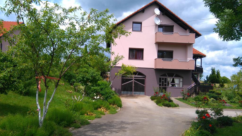 Apartments Tratincica Селиште-Дрежничко Экстерьер фото