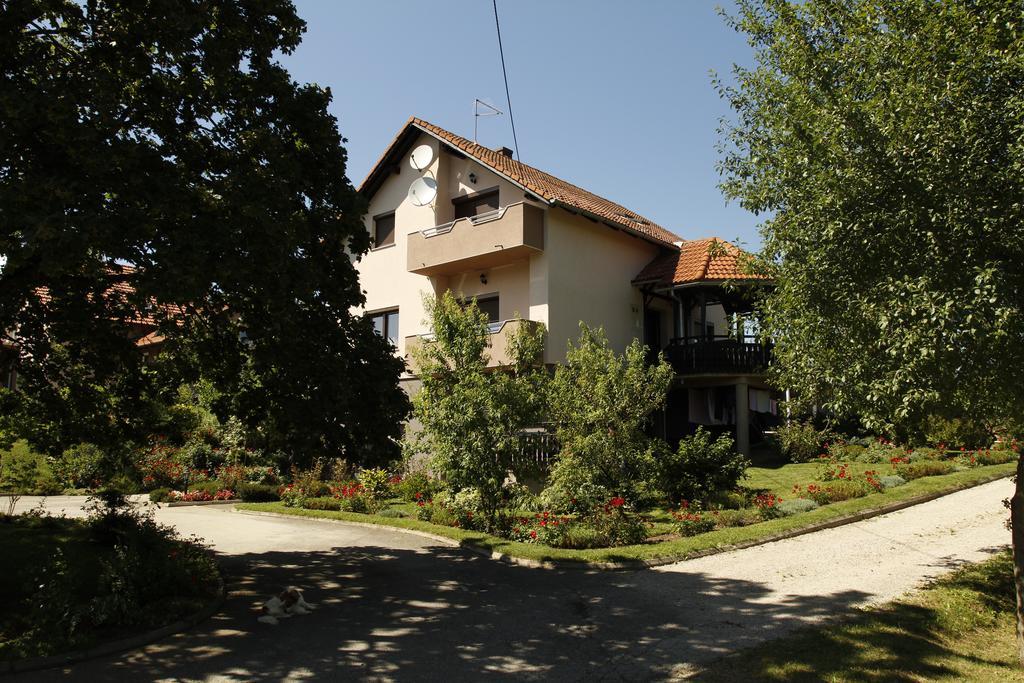 Apartments Tratincica Селиште-Дрежничко Экстерьер фото