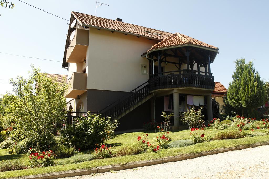 Apartments Tratincica Селиште-Дрежничко Экстерьер фото