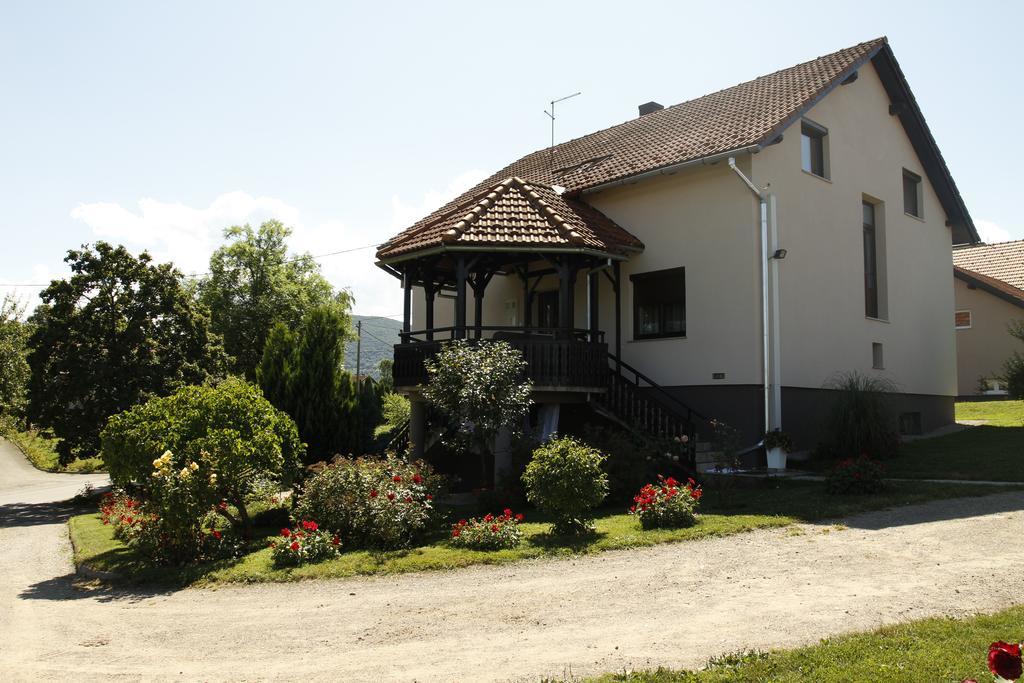 Apartments Tratincica Селиште-Дрежничко Экстерьер фото